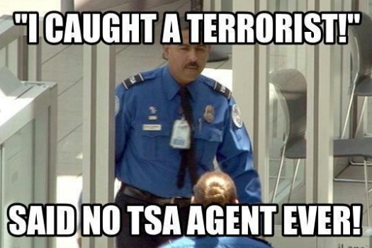 TSA Agent